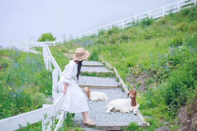 「阿亮说」抖音上爆红的国内旅行地！在云间吃饭，旷野中看星星，宛若人间仙境～