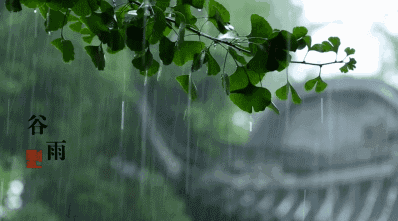 中雨→大雨→暴雨！今起河北全省雨雨雨！下班早点回家｜紧急通知！石家庄明日起解除限行