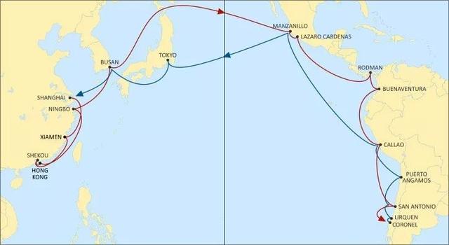 近期OOCL、YML、EMC、MSC等船公司的一些航线信息汇总！