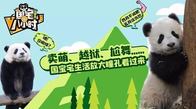 「国宝八小时」会卖萌会越狱的国宝，名字都是咋取的？