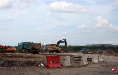 为确保食品安全 新加坡2万多灾后幸存鸡被人道毁灭