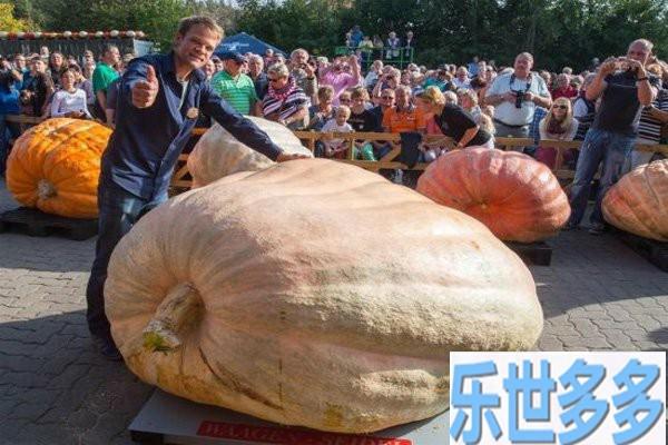 各种全世界的最大记录——惊爆你的眼球！