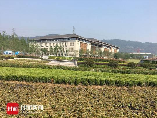 「美丽中国长江行」“山、水、城、校”融合 宜宾正奋力打造一座“长江国际生态创新科教城”