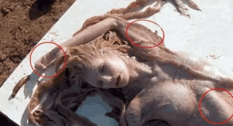 南海渔民捕捉到不明生物，美人鱼是否是个传说？