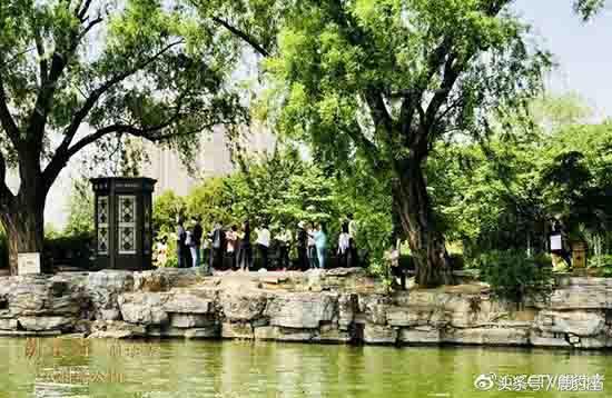 现象级综艺《朗读者》如何取得优异成绩？