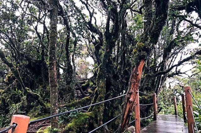 赤道附近的马来西亚，竟然还有这样一个四季如春的高原旅游胜地