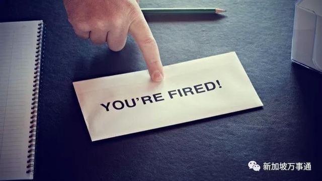 连续两年考满分，新加坡大学竟全不录取他！