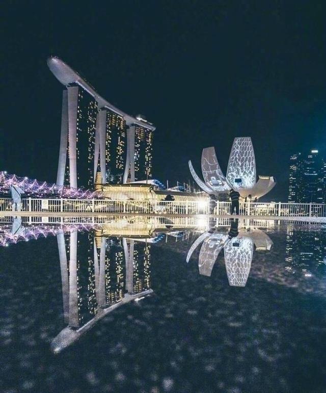 有机会也要去感受一下新加坡的夜景，你去吗？