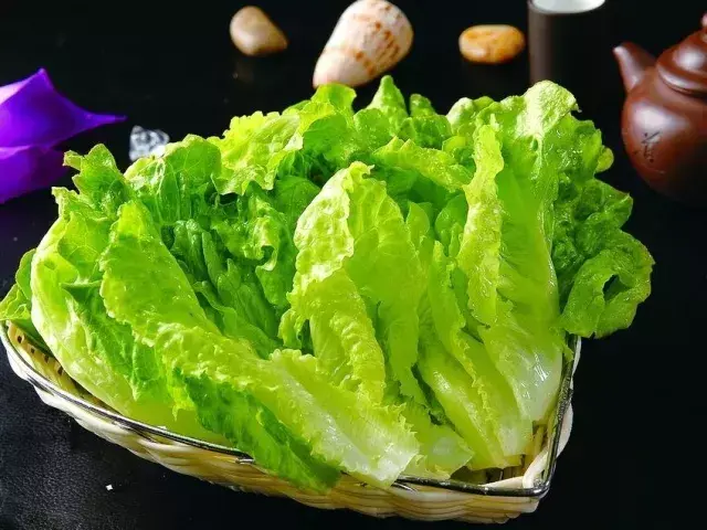 厉害了！肯德基、必胜客的生菜原来一半都来自他的基地