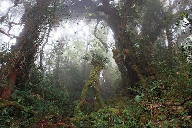 赤道附近的马来西亚，竟然还有这样一个四季如春的高原旅游胜地