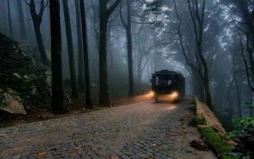 新加坡高度重视公共汽车安全问题