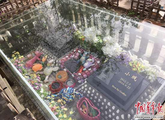 “宠物墓地”受追捧：价格2000元起 墓碑等费用另计