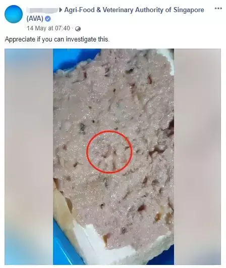新加坡有名的金枪鱼罐头见活蛆虫！商家却这么说……