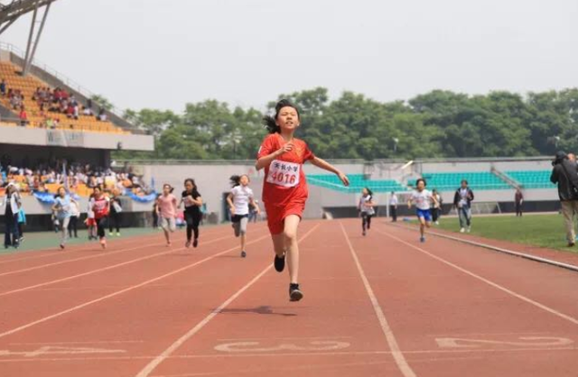 杭城小学运动会纪录频繁被刷新 这背后是什么原因？