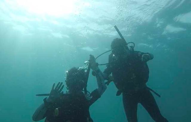马来西亚仙本那潜水行