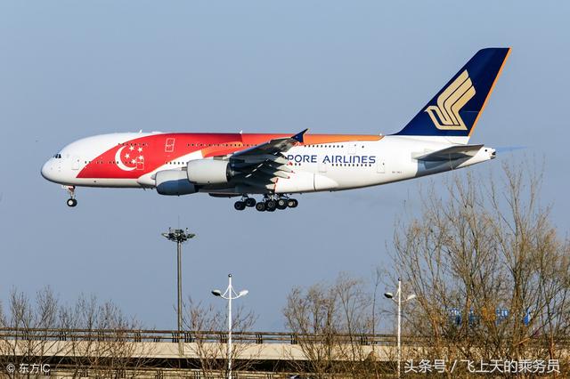 新加坡执法者将有权对付入境航班滋事者