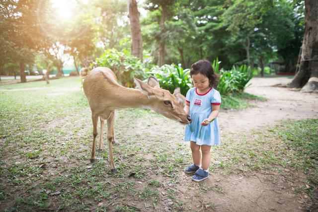 亚洲最好玩的顶级动物园，你带孩子去过几个？