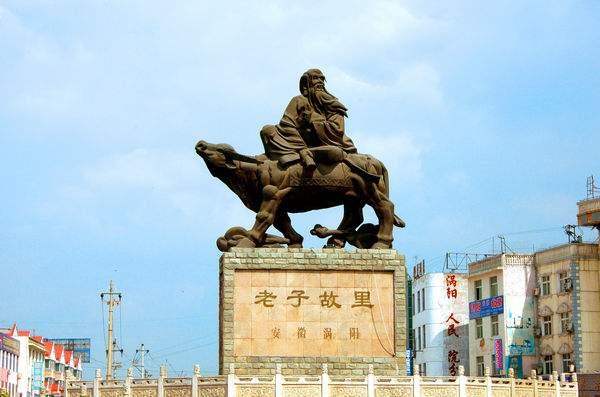 安徽省涡阳地理标志保护4大产品：苔干、榆钱、桑葚、槐花