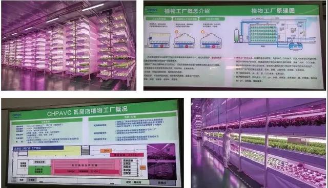 人工光型植物工厂在中国产业化发展的新动向（上）