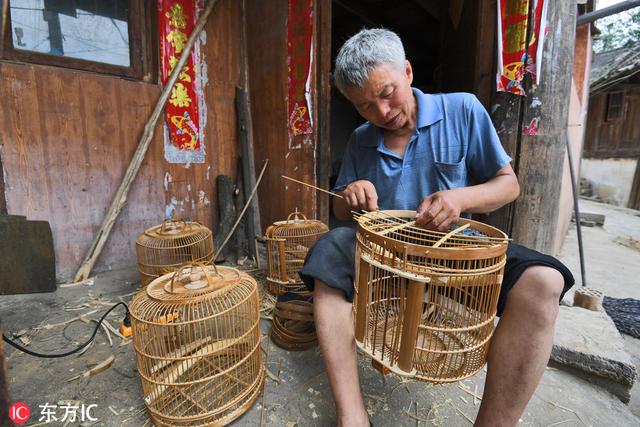 贵州一村庄农民编鸟笼年入650万 400年鸟笼借网络畅销欧美