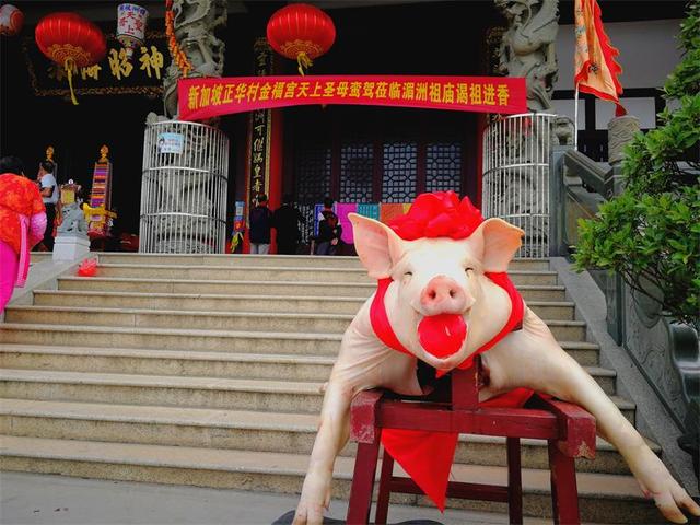 新加坡金福宫首次回湄洲谒祖进香