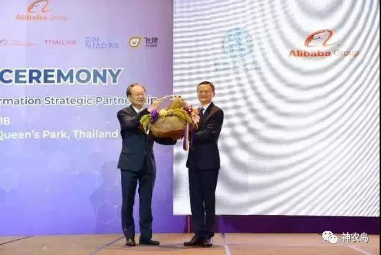 马云就是流量，泰国榴莲遇上天猫一分钟卖出80000个，惊呆了