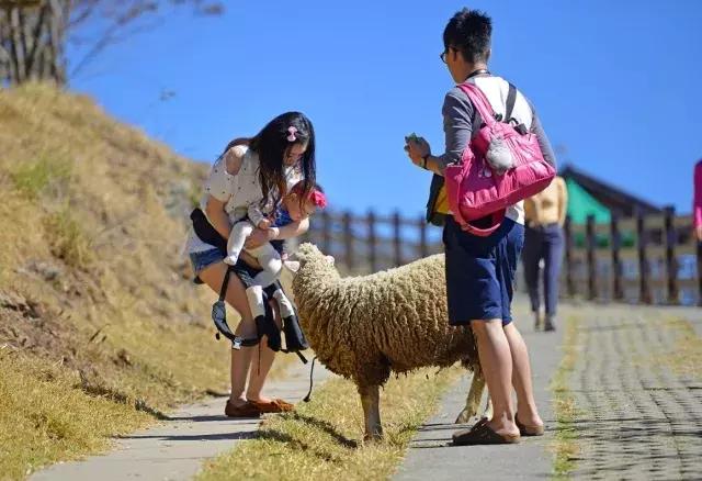 这8个旅行地，暑假去刚刚好！