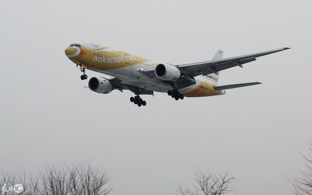 近日，酷航母公司新加坡航空集团公布酷航2017/18财年可观的业绩