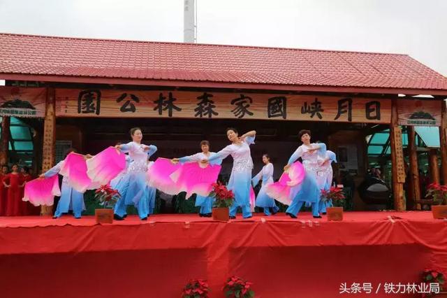 铁力林业局举办2018第四届日月峡国际端午全民健身踏青节暨第三届日月峡国际森林瑜伽全民健身养生节