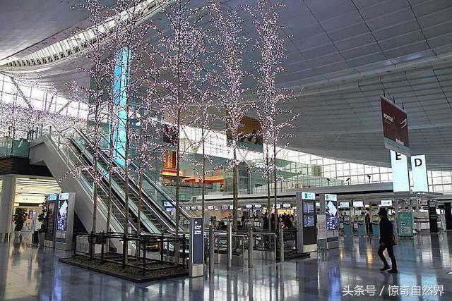日本5次被评“全球最干净”的机场，竟然是一位中国大妈扫出来的