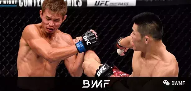 UFC Fight Night 132：中国力量4战全胜 “狮城”完胜扬威