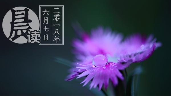 晨读｜河北唐山一男子酒驾沿街连撞多人致4死11伤
