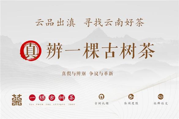 中国首个古树茶认领O2O服务体验平台首秀深圳茶博会