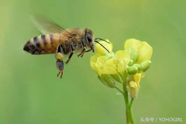 潮流板报｜除了住进芝麻街，KAWS竟然还和DIOR办了场“婚礼”？