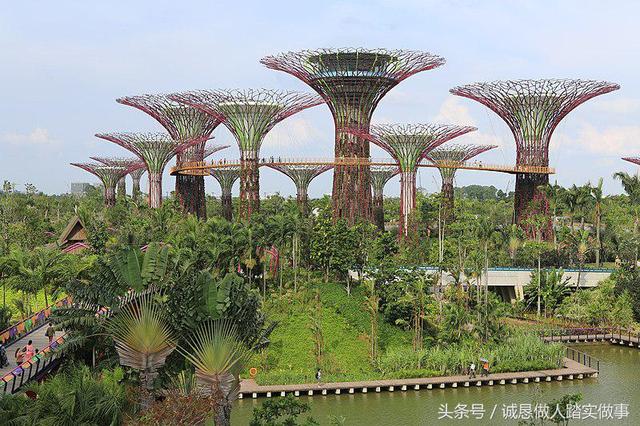 未来的公园——新加坡滨海湾花园