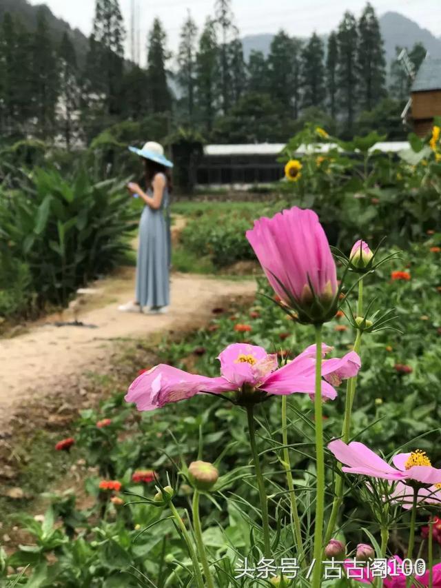 何斯路村：给你想要的乡间美好！