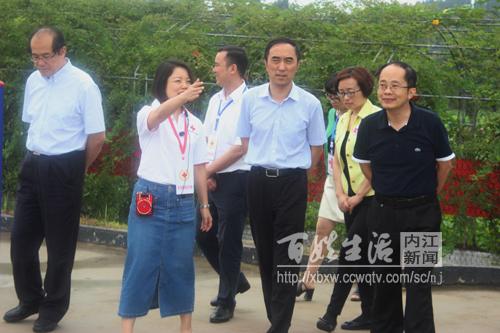 中国红十字会副会长王海京来新店乡调研博爱家园工作