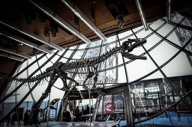「天下奇闻」杜特尔特送书索吻被指“恶心” 6700万年前霸王龙化石完好亮相巴黎