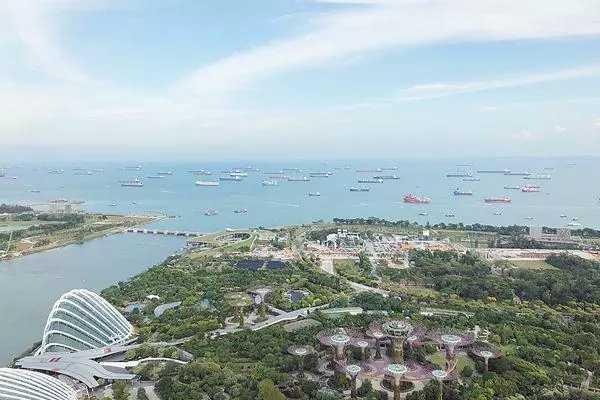 新加坡为每棵树办身份证！厉害了