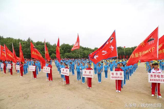 铁力林业局举办2018第四届日月峡国际端午全民健身踏青节暨第三届日月峡国际森林瑜伽全民健身养生节