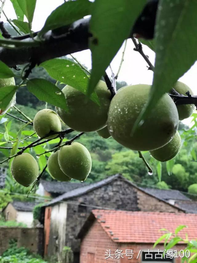 何斯路村：给你想要的乡间美好！