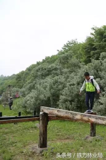 铁力林业局举办2018第四届日月峡国际端午全民健身踏青节暨第三届日月峡国际森林瑜伽全民健身养生节