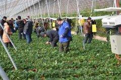 凌乱在风口的猪：共享单车创业启示录