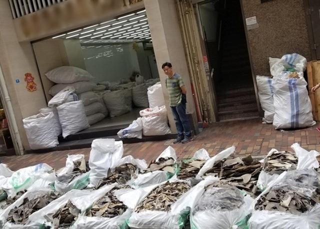 美国环保组织海洋牧人协会：不法商人把濒危鲸鲨干鱼翅偷运入香港