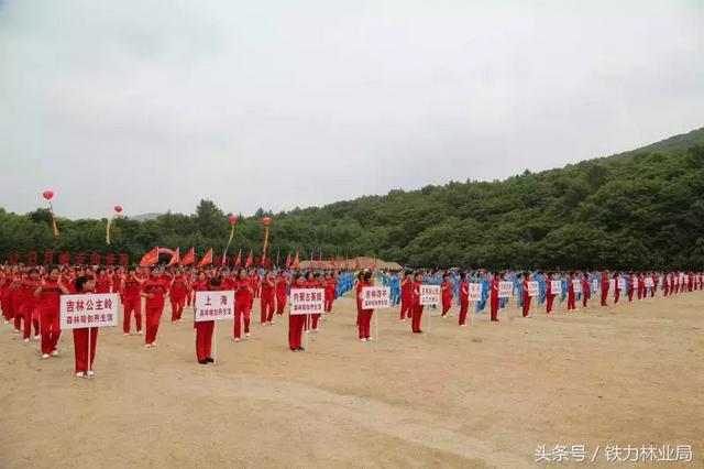 铁力林业局举办2018第四届日月峡国际端午全民健身踏青节暨第三届日月峡国际森林瑜伽全民健身养生节