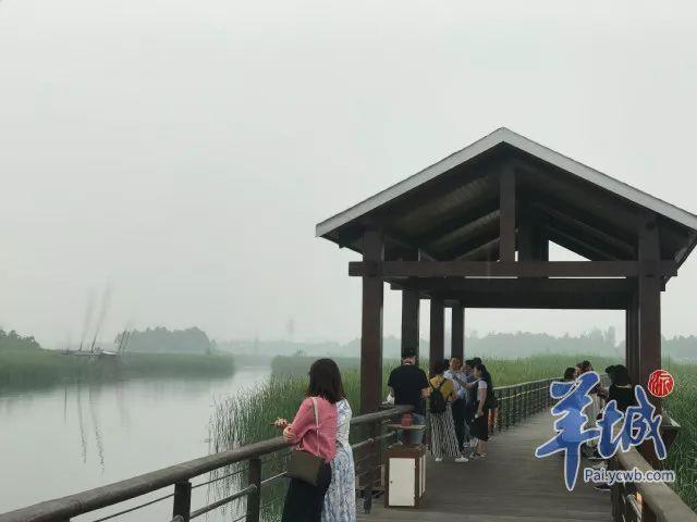 绝美湖景，在夏季绝对值得专程一去