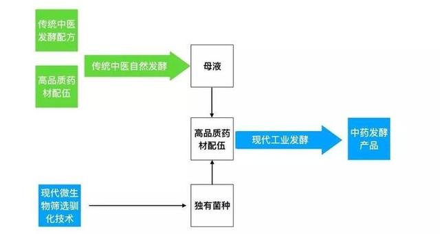 上游专访｜“酵素”究竟是什么？中药酵素又是什么？