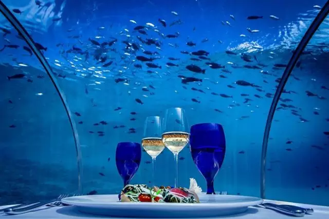 8家全球最in海底餐厅，吃过3家的算你厉害！