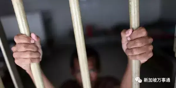 这些行为在新加坡是犯法的，据说90%的人不知道！