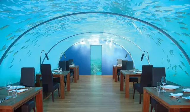 8家全球最in海底餐厅，吃过3家的算你厉害！